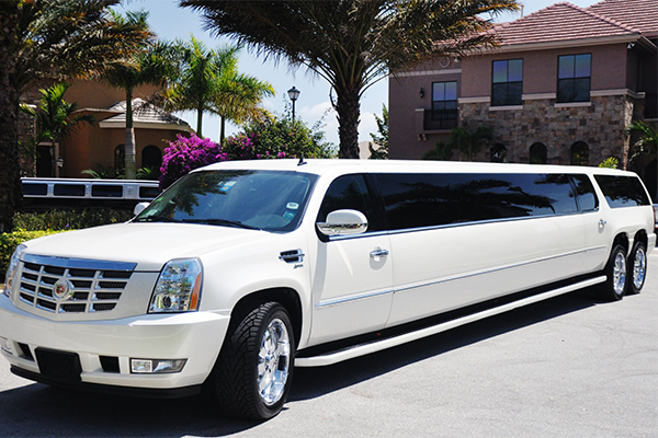 Fredrick 20 Passenger Limo